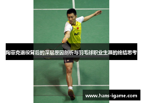 陶菲克退役背后的深层原因剖析与羽毛球职业生涯的终结思考