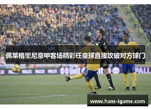 佩莱格里尼意甲客场精彩任意球直接攻破对方球门